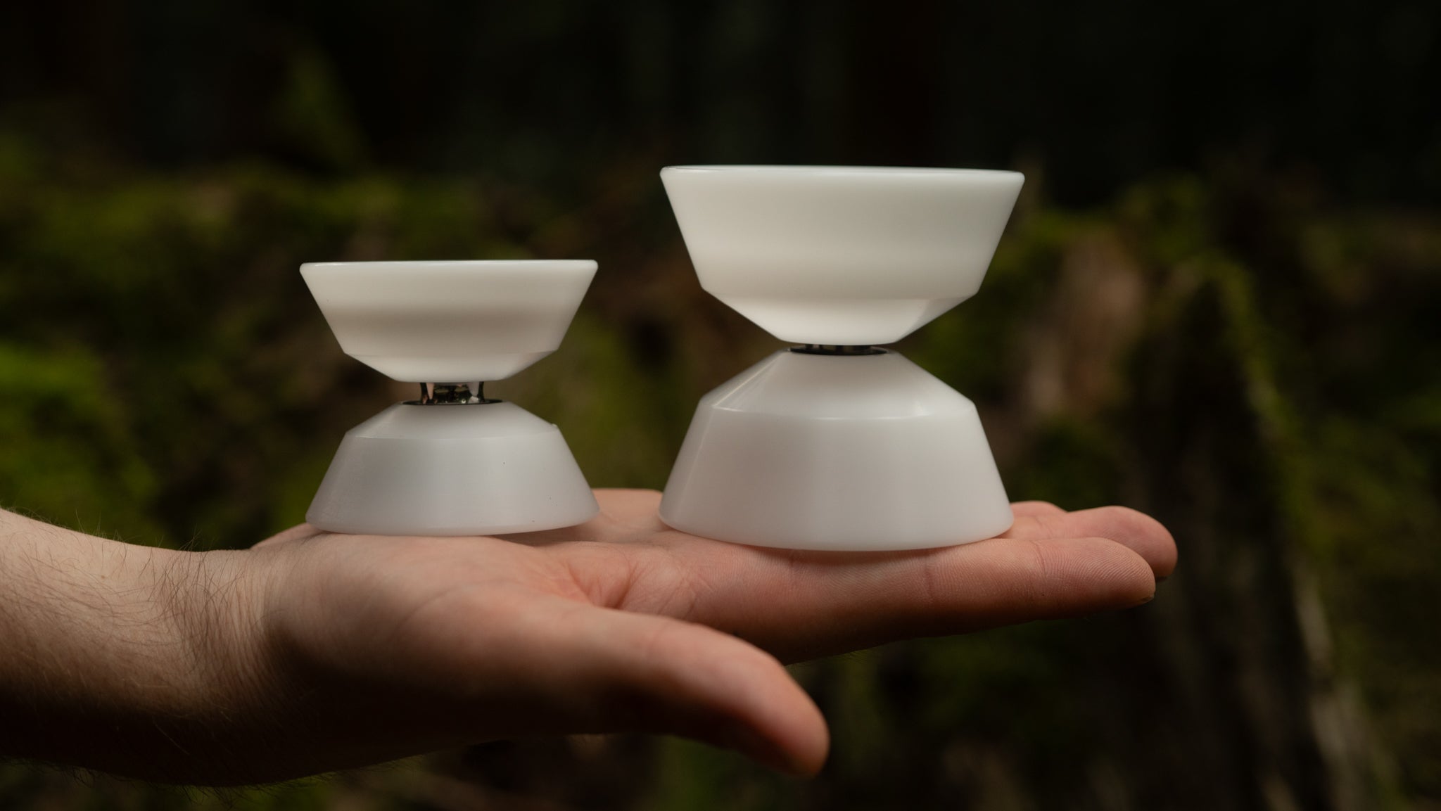 New Model) Short King | mowl International Online Store