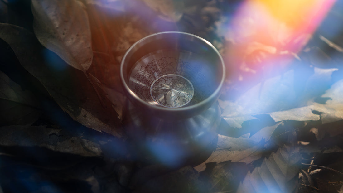 【New Release】Jan 7th 2023