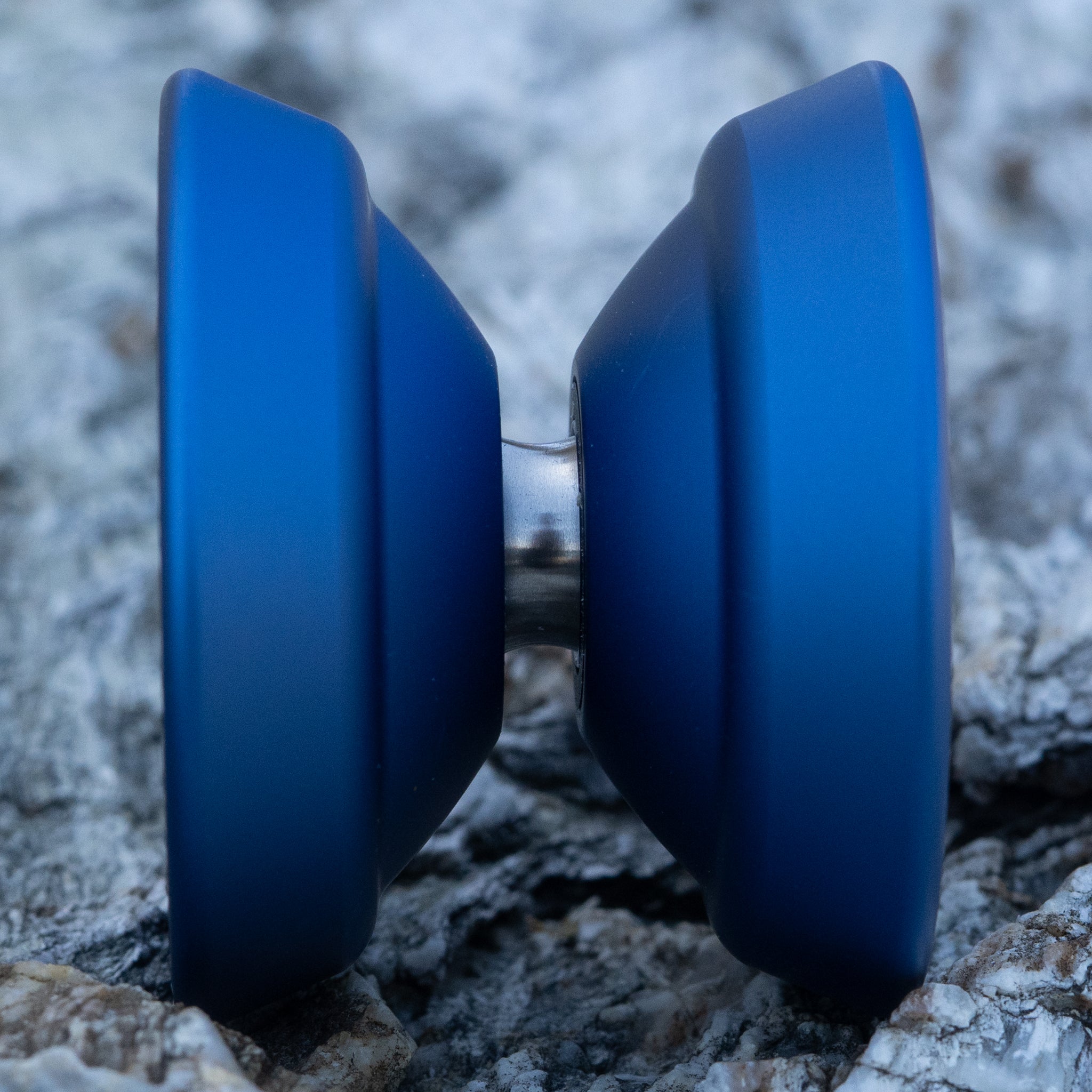 M Owl Logo / Blue (Orange Logo)