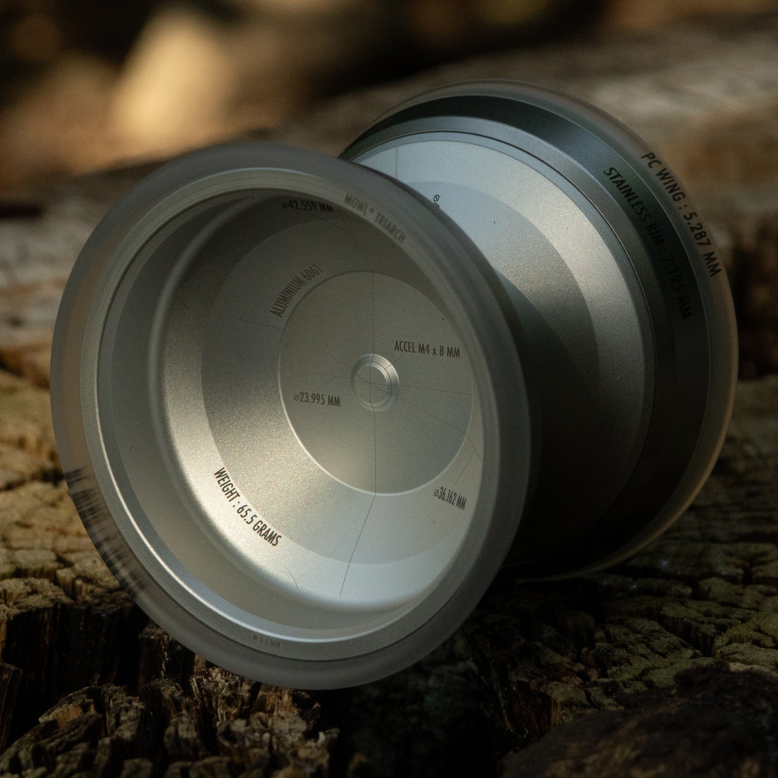 Triarch: Blasted Silver / Silver Rim / Clear Wing | mowl