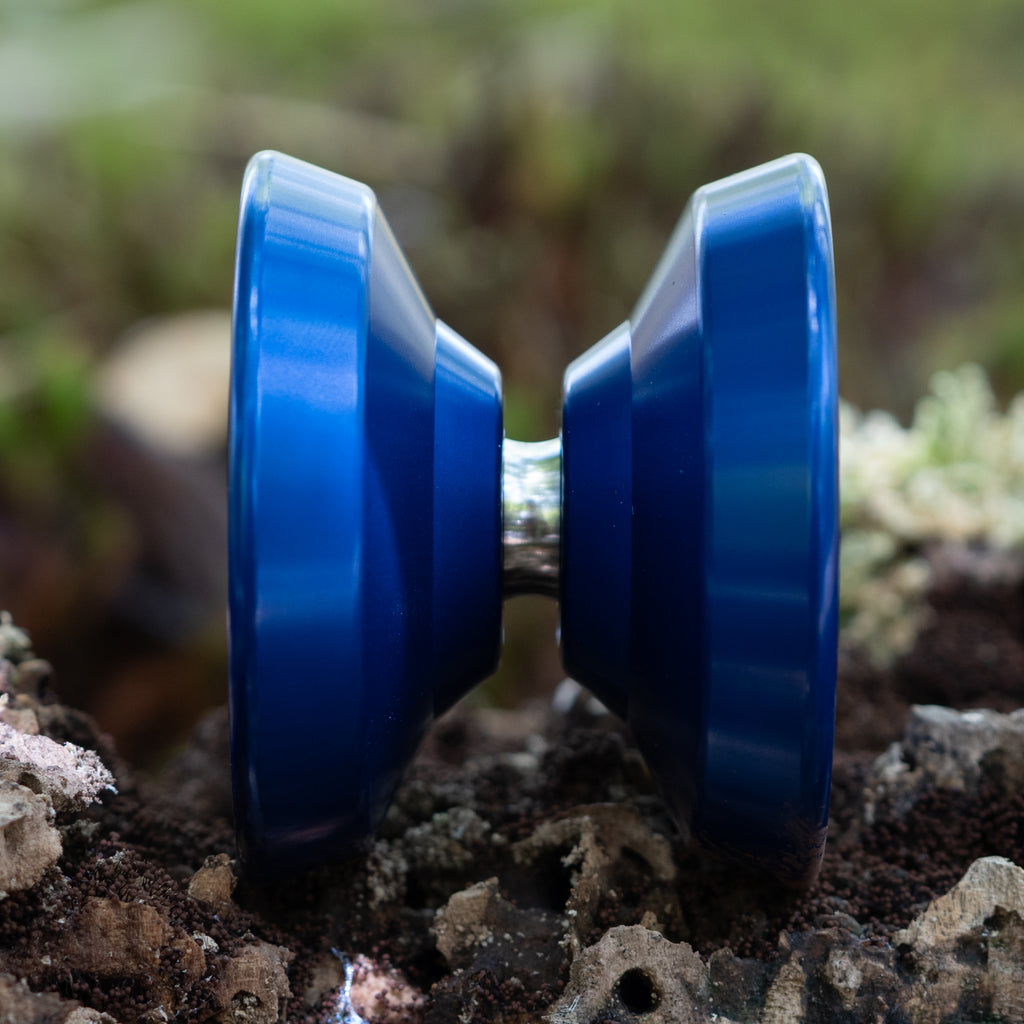 Vigilancia DENKEN Blue