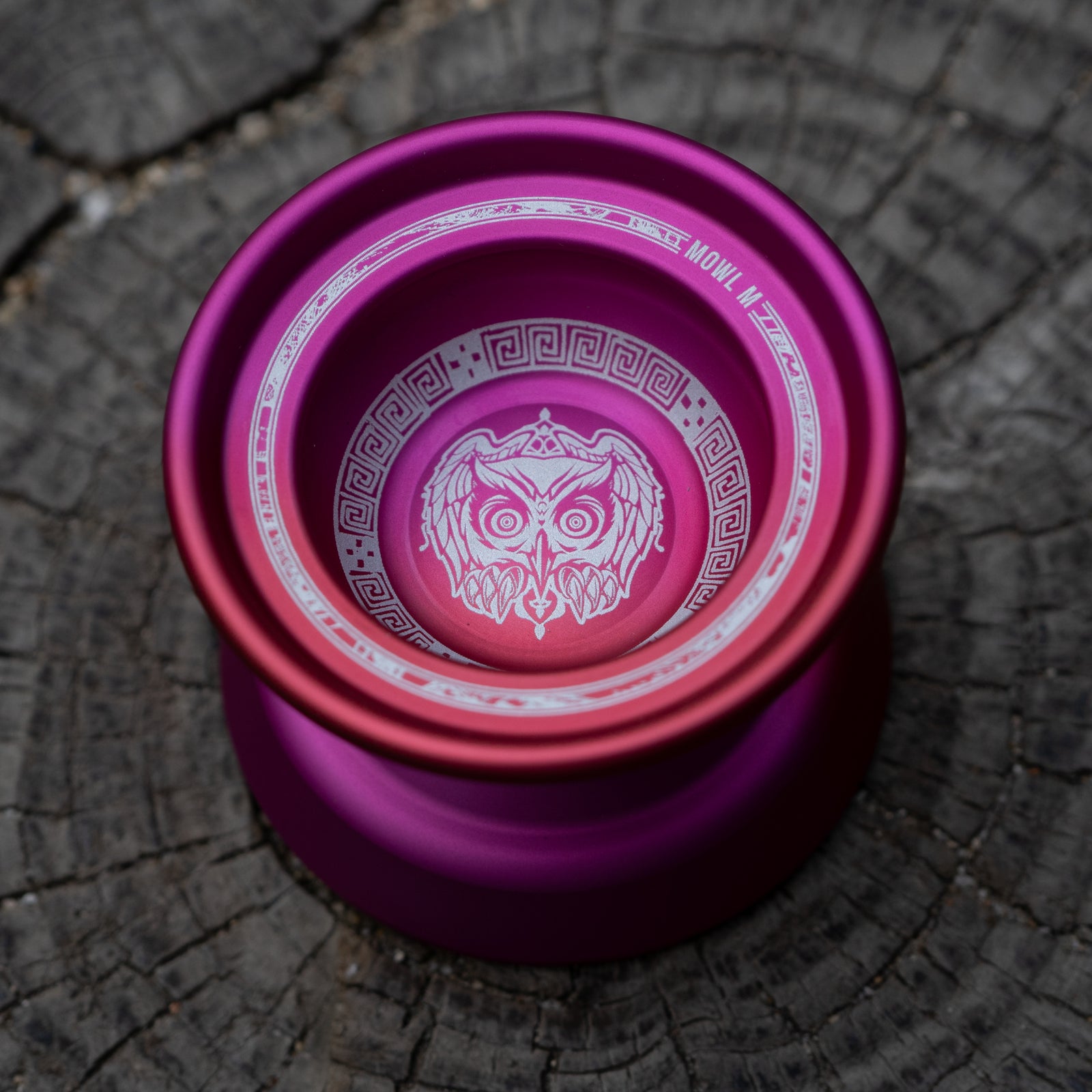 M OWL Logo / Pink Fade – mowl